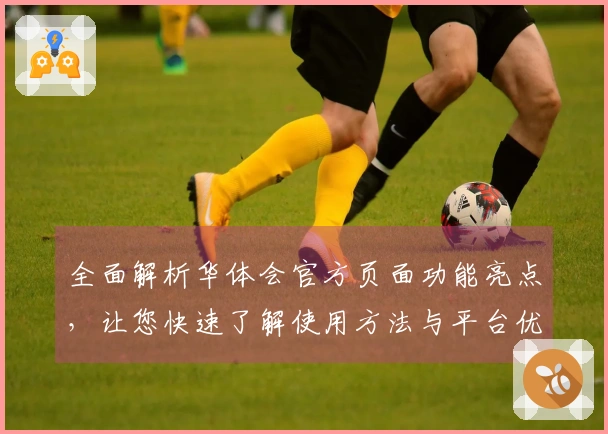 全面解析华体会官方页面功能亮点，让您快速了解使用方法与平台优势